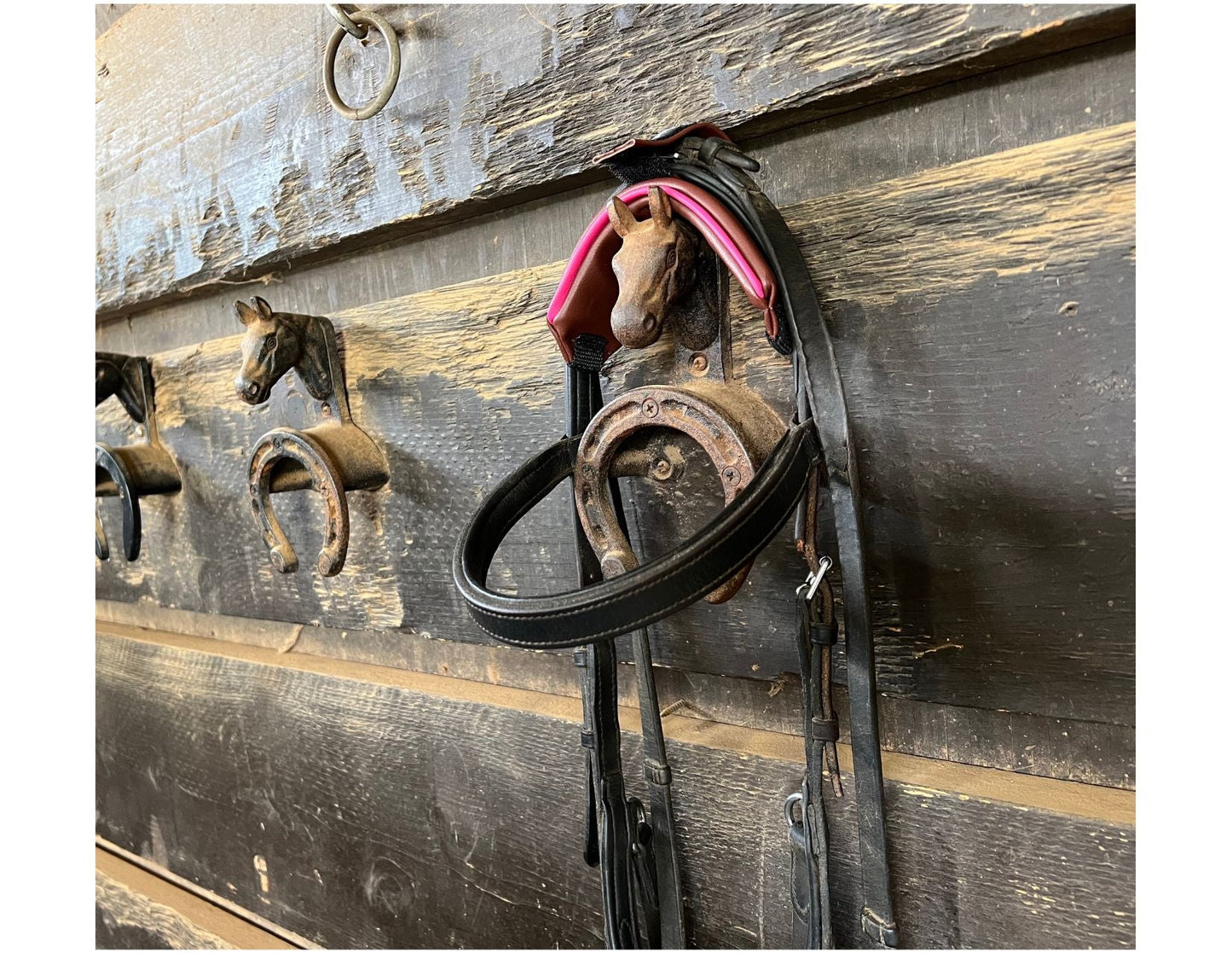 Bridle Guard Pro bridle cushion