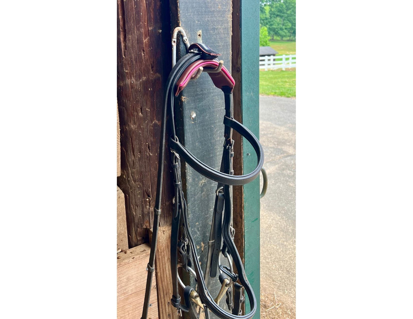 Bridle Guard Pro bridle cushion
