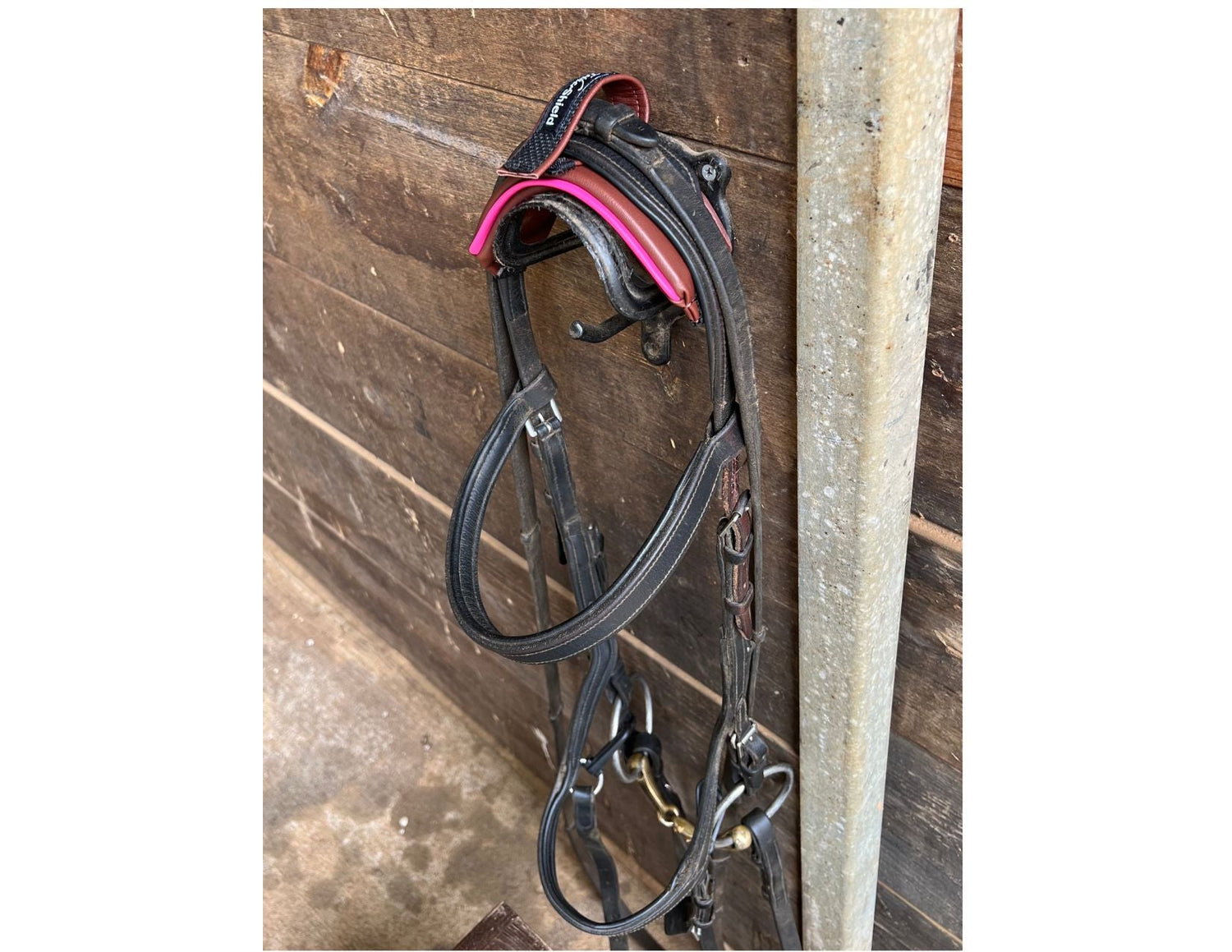 Tether Shield Bridle Guard Pro in Saddle with Hot Pink accent